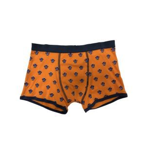 Basics tas-Saħħa tal-Ġisem tal-Ġisem ta ’taħt tas-Subien